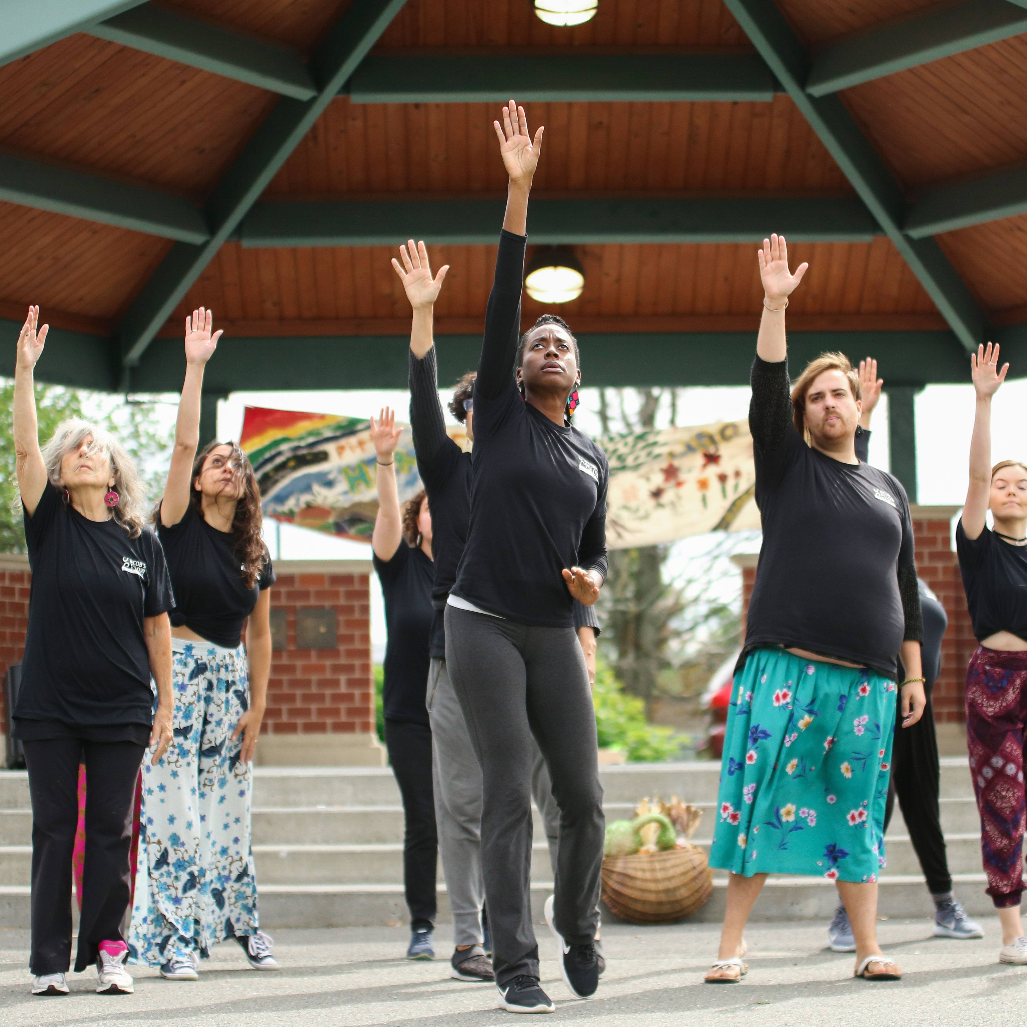 Pittsfield Moves! Community dancers performing at Harvest of Hope; photo Noor Eemaan