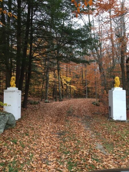 The entrance to the Pilates cabin; two gold lion statues stand at the start of a path in the woods.