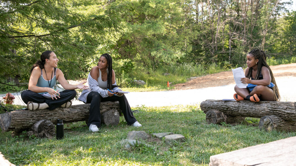 Two people sit on a log facing a third person sitting on a different log.