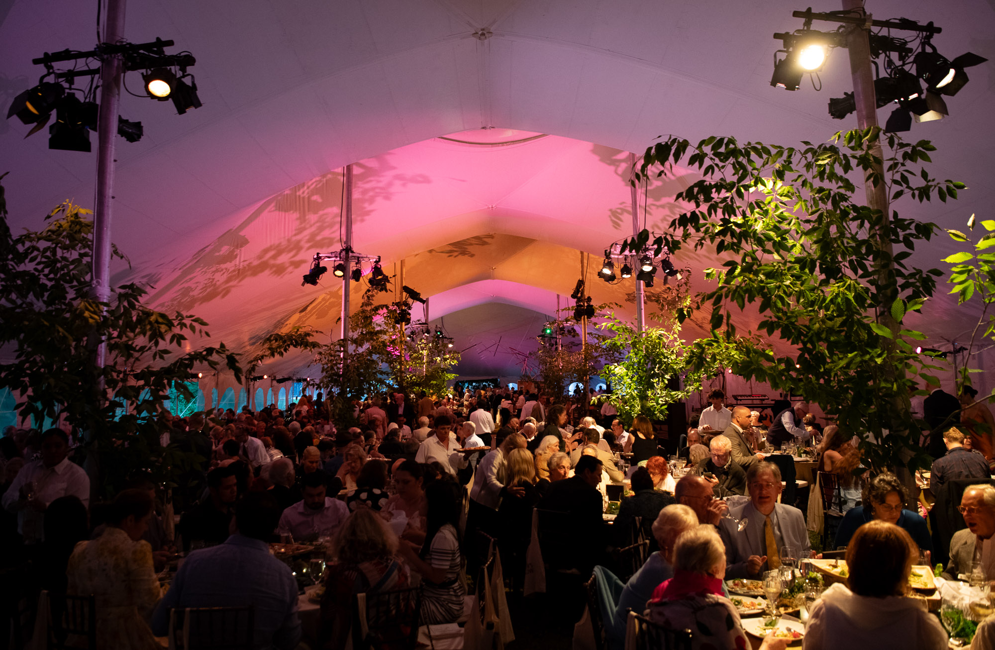 A photo of Jacob's Pillow Season Opening Gala. Gala attendees sit at round tables in a large tent lit with purple lighting and decorated with greenery.