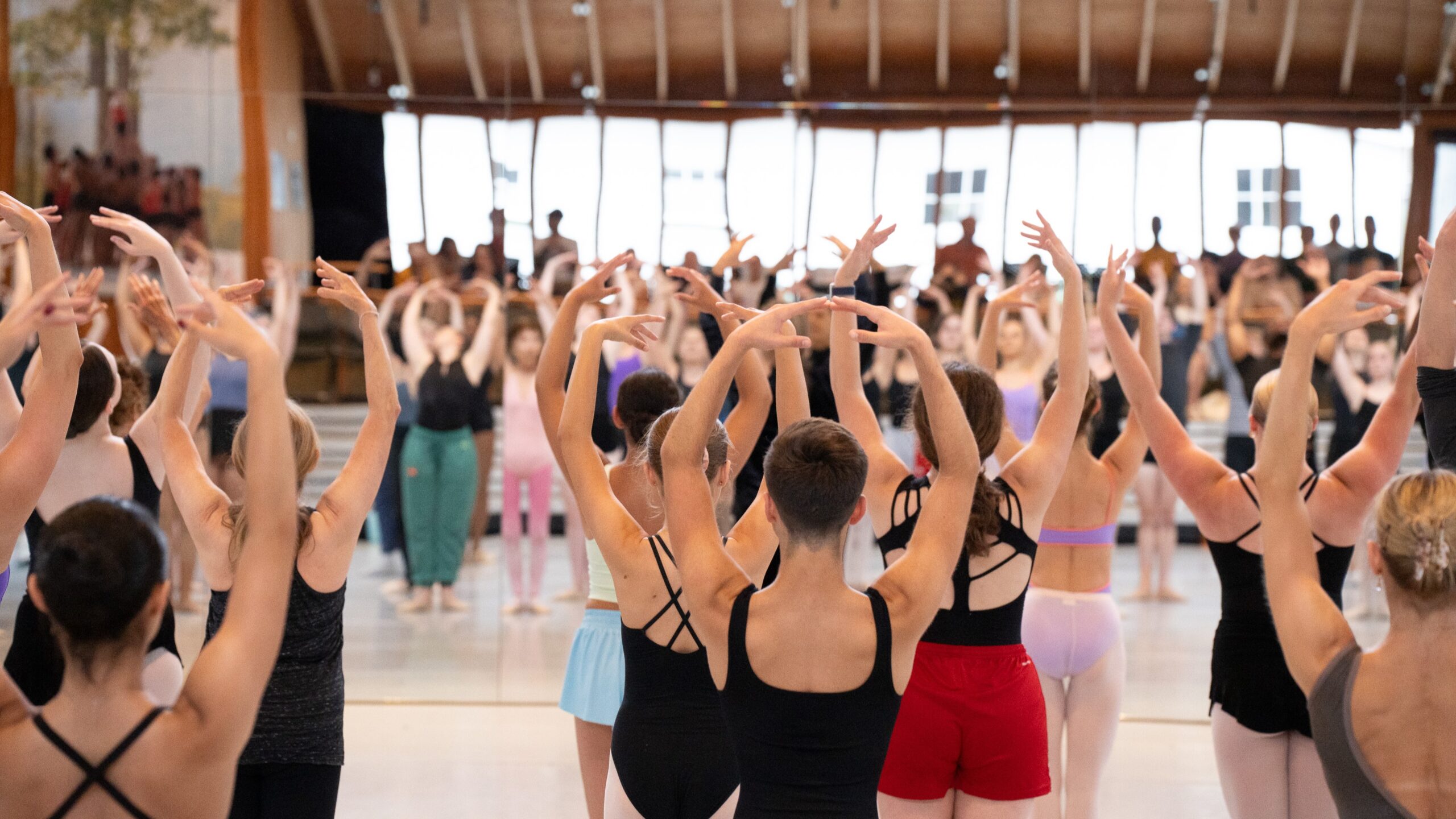 A group of dancers in a ballet class stand with their backs to the camera. They are all lifting their arms above their heads in a circle.